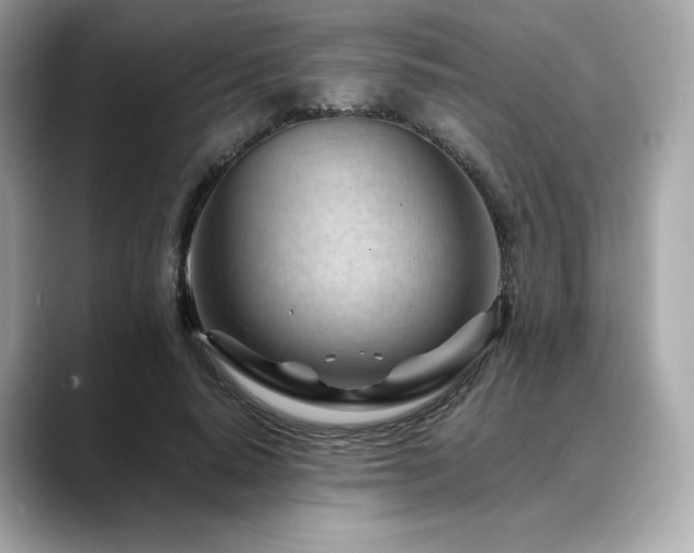X0000088700640200705311216
