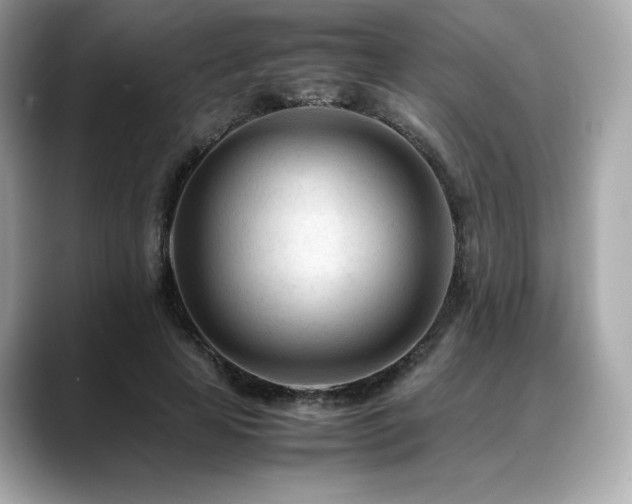 X0000088700641200705311216