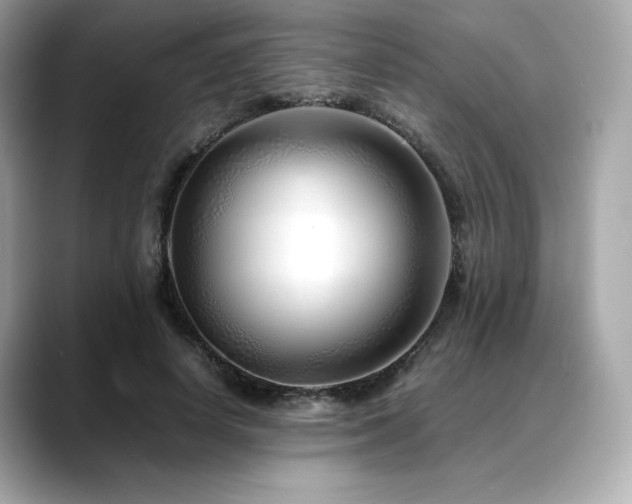 X0000088700642200705311216