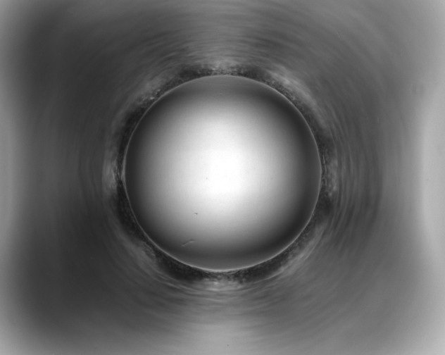 X0000088700644200705311216