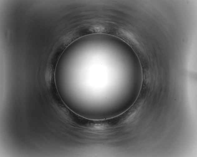 X0000088700645200705311216