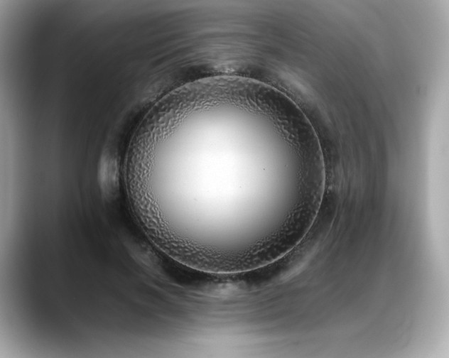 X0000088700646200705311216