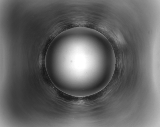 X0000088700647200705311216