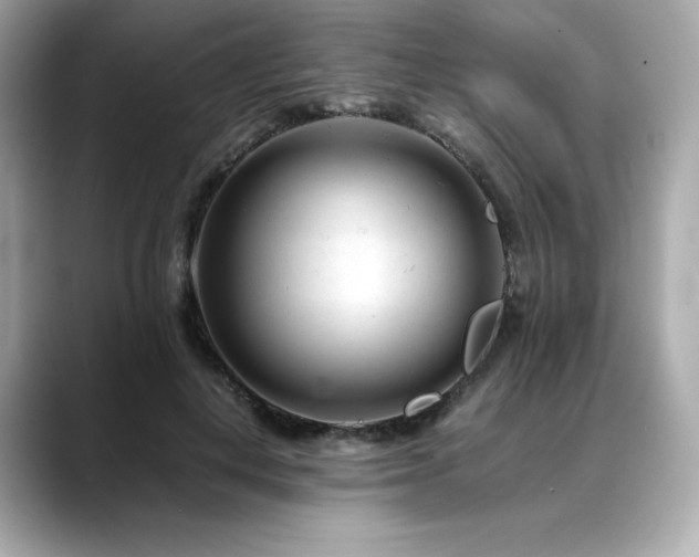 X0000088700648200705311216