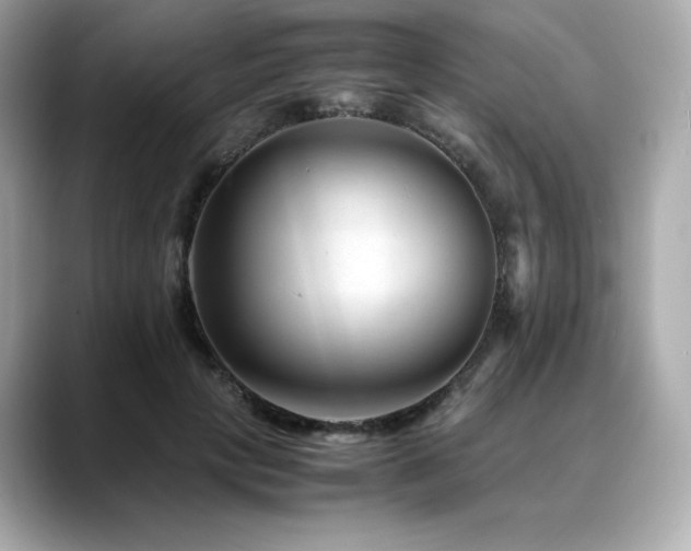 X0000088700649200705311216
