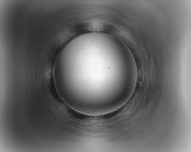 X0000088700652200705311216