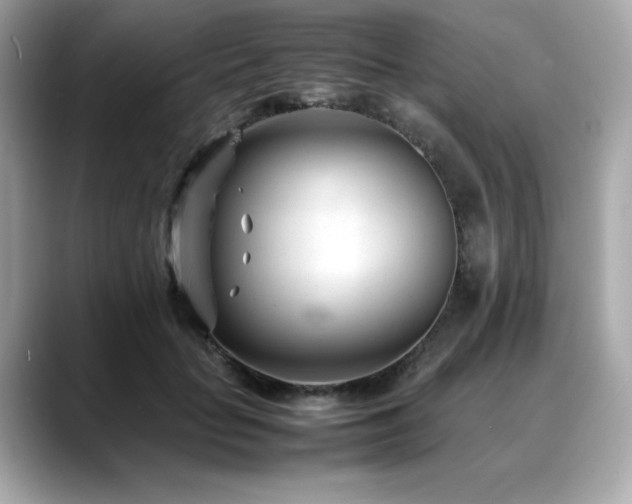 X0000088700653200705311216