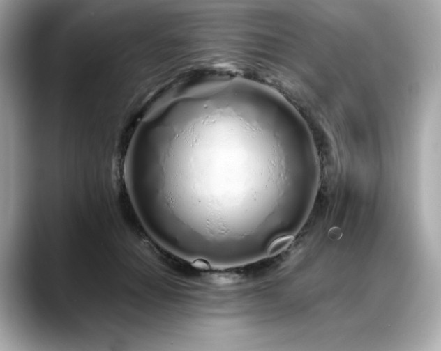 X0000088700654200705311216