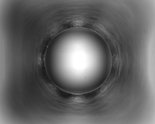 X0000088700655200705311216