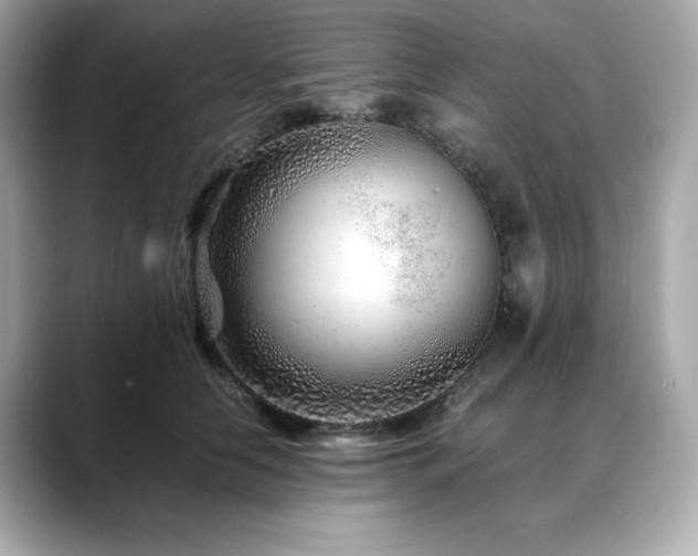 X0000088700658200705311216