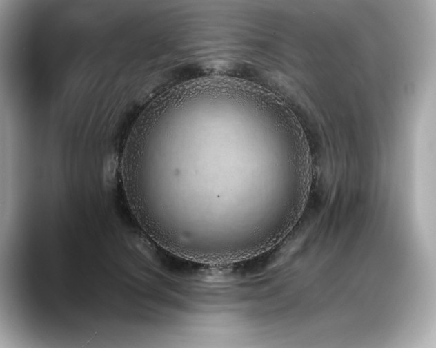 X0000088700660200705311216
