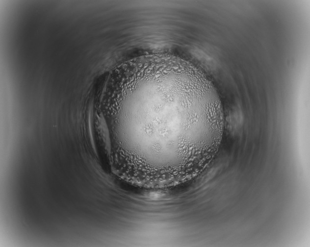 X0000088700662200705311216