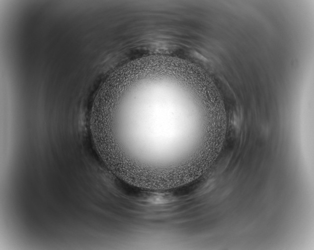 X0000088700663200705311216