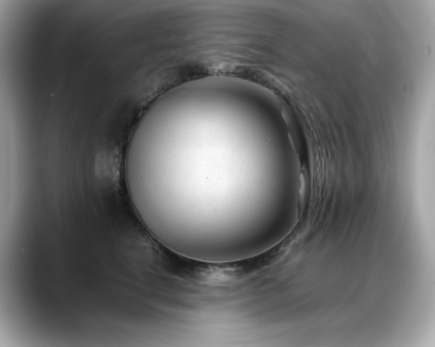 X0000088700664200705311216