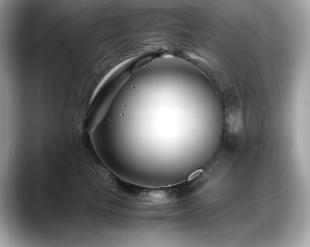 X0000088700665200705311216