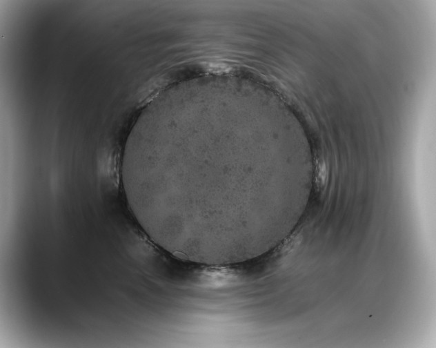 X0000088700666200705311216