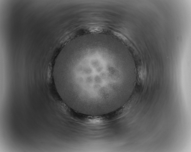 X0000088700667200705311216