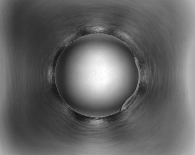 X0000088700669200705311216