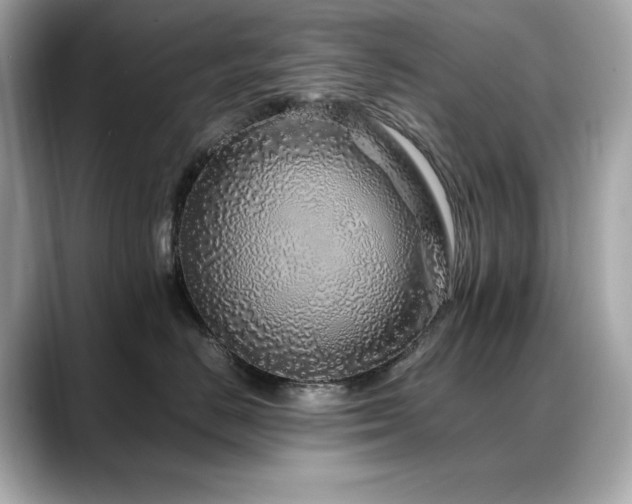 X0000088700670200705311216