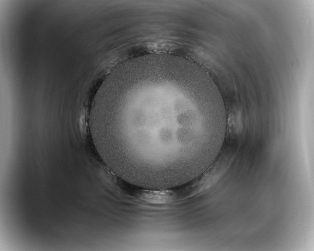 X0000088700671200705311216