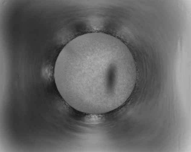 X0000088700672200705311216
