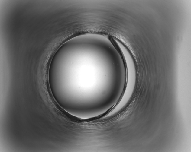 X0000088700673200705311215
