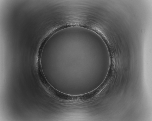 X0000088700674200705311215