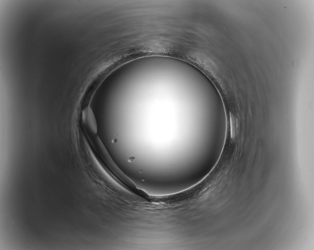 X0000088700675200705311215