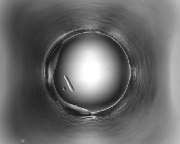 X0000088700676200705311215