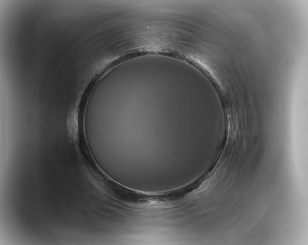 X0000088700678200705311215