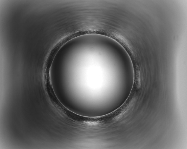 X0000088700680200705311215