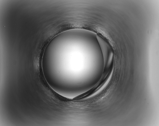 X0000088700681200705311215