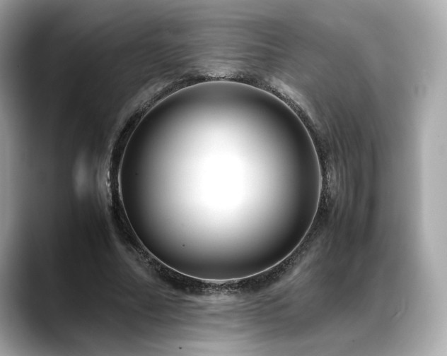X0000088700682200705311215