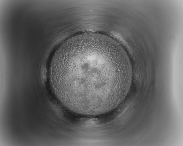 X0000088700683200705311215