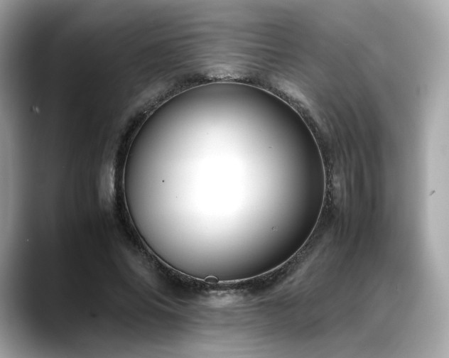 X0000088700686200705311215