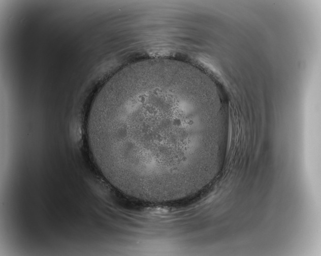 X0000088700687200705311215