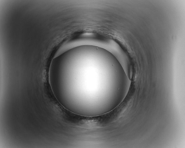 X0000088700689200705311215