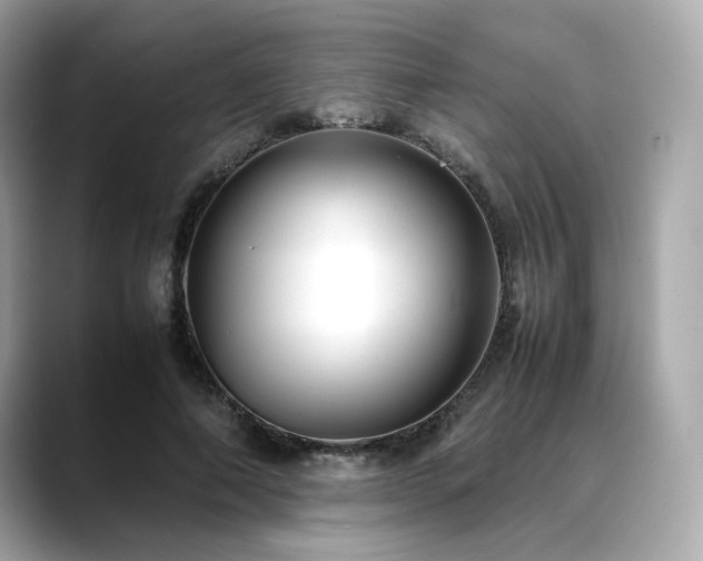 X0000088700690200705311215