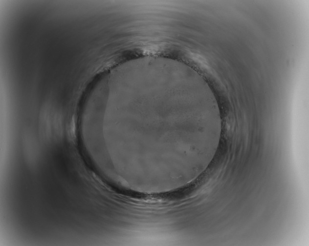 X0000088700691200705311215