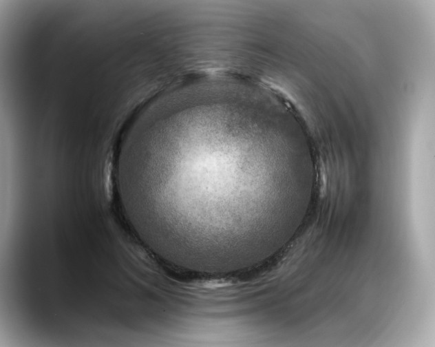 X0000088700692200705311215