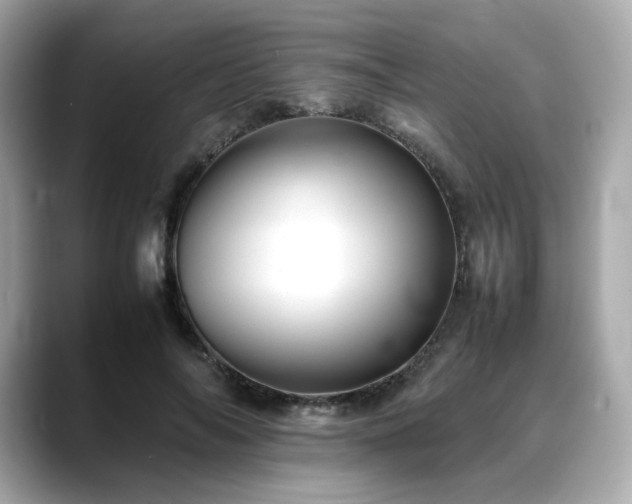X0000088700694200705311215