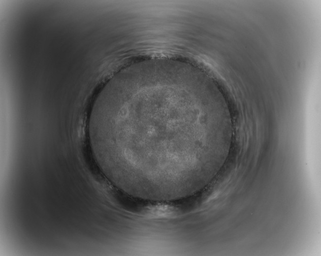 X0000088700695200705311215