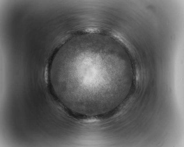 X0000088700696200705311215