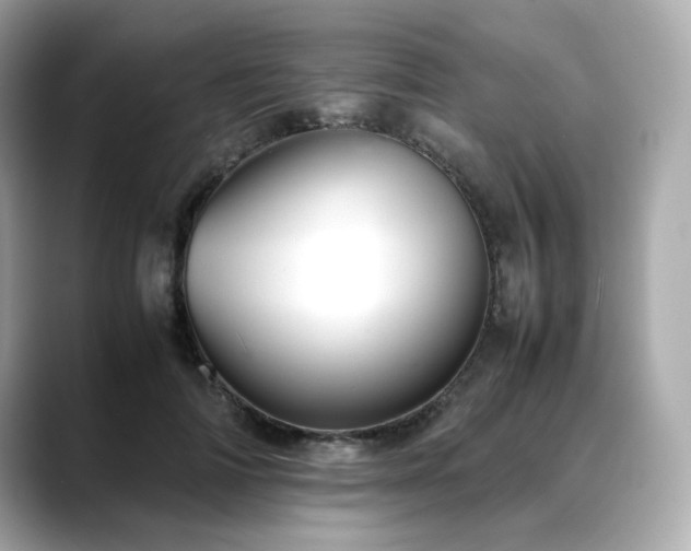 X0000088700698200705311215