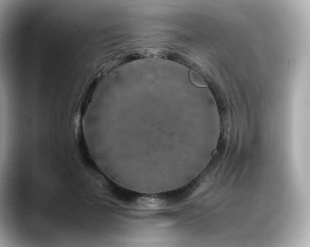 X0000088700699200705311215
