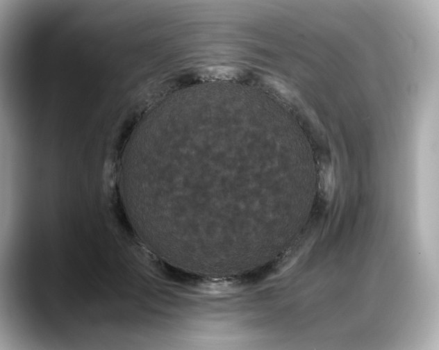 X0000088700701200705311215