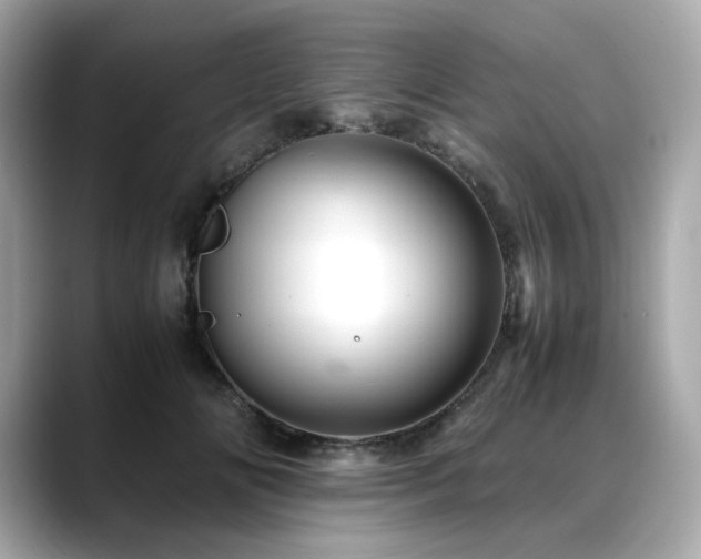 X0000088700702200705311215