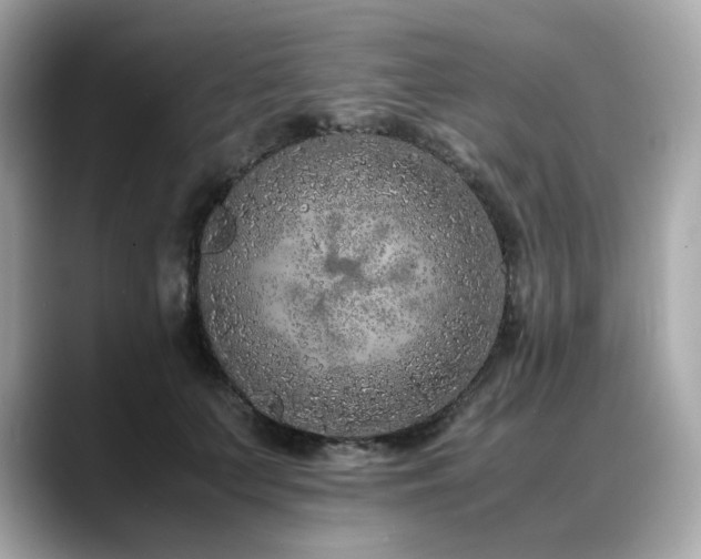 X0000088700703200705311215