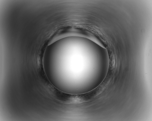 X0000088700704200705311215