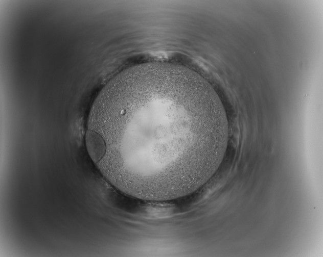 X0000088700707200705311215